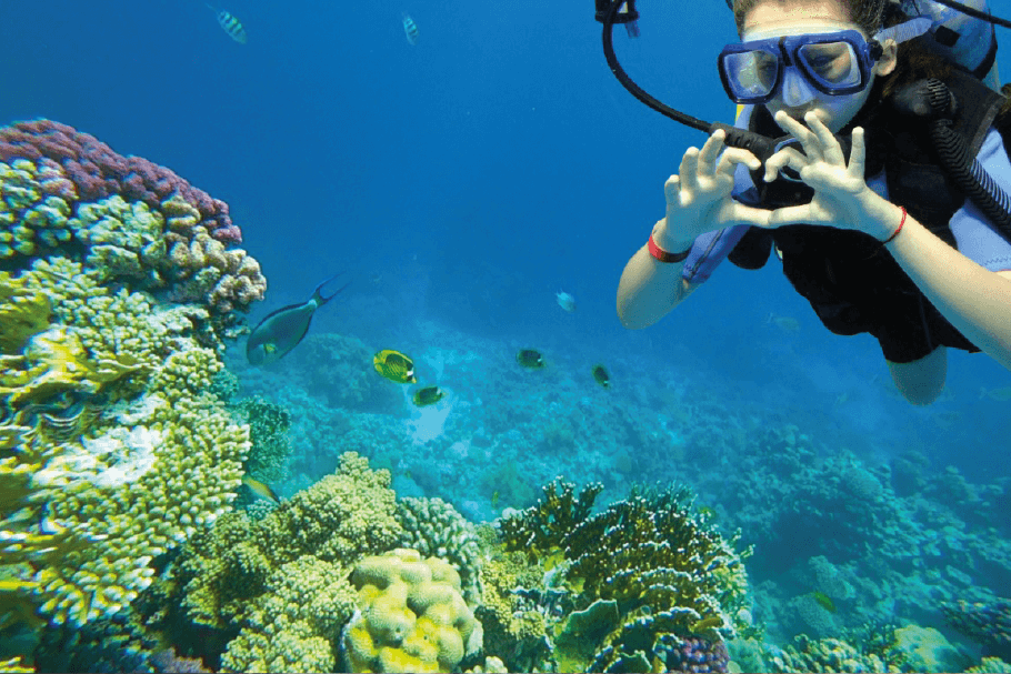 Diving in rosario island park with a professional diver
